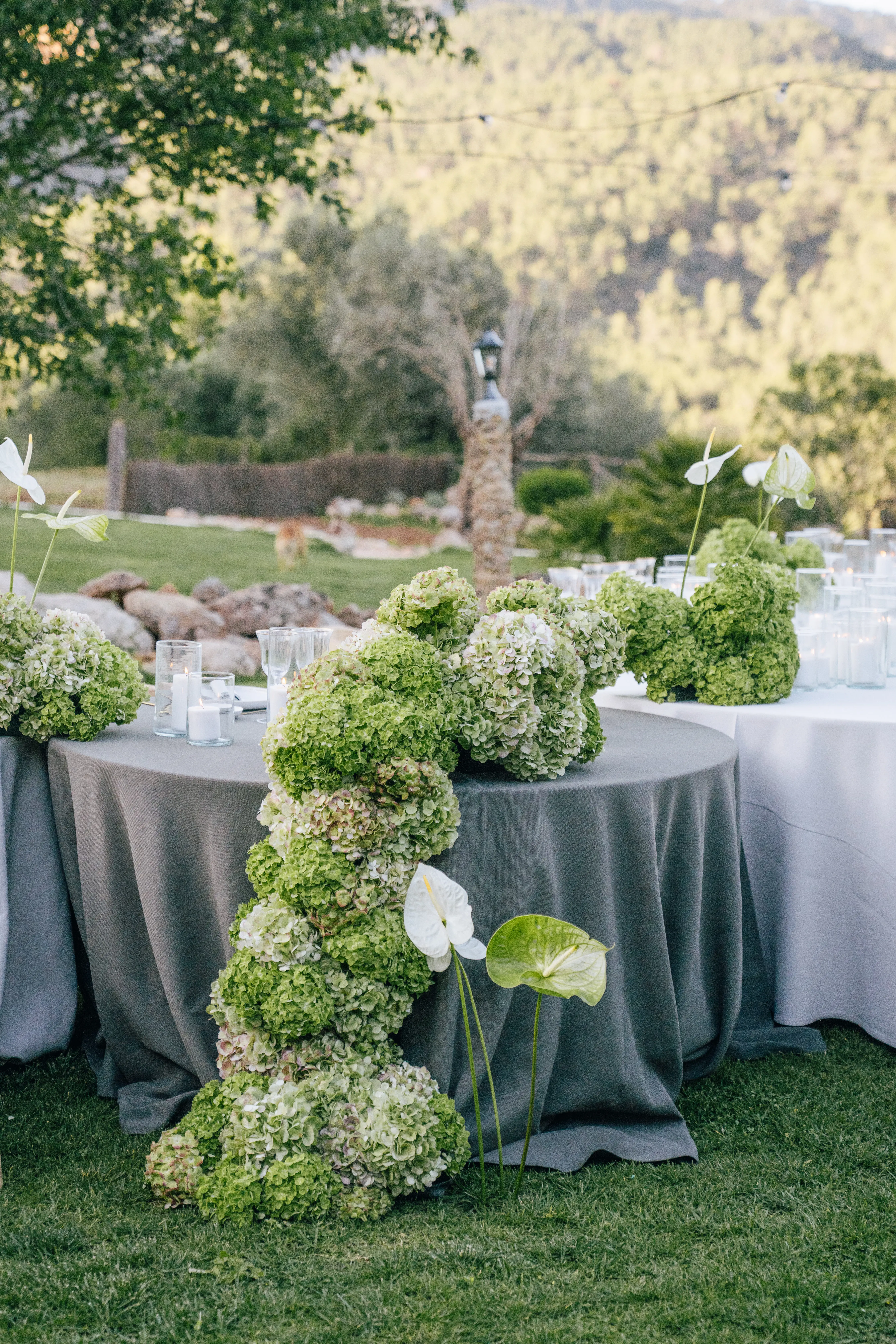 Sabinata Eventos imagen 17