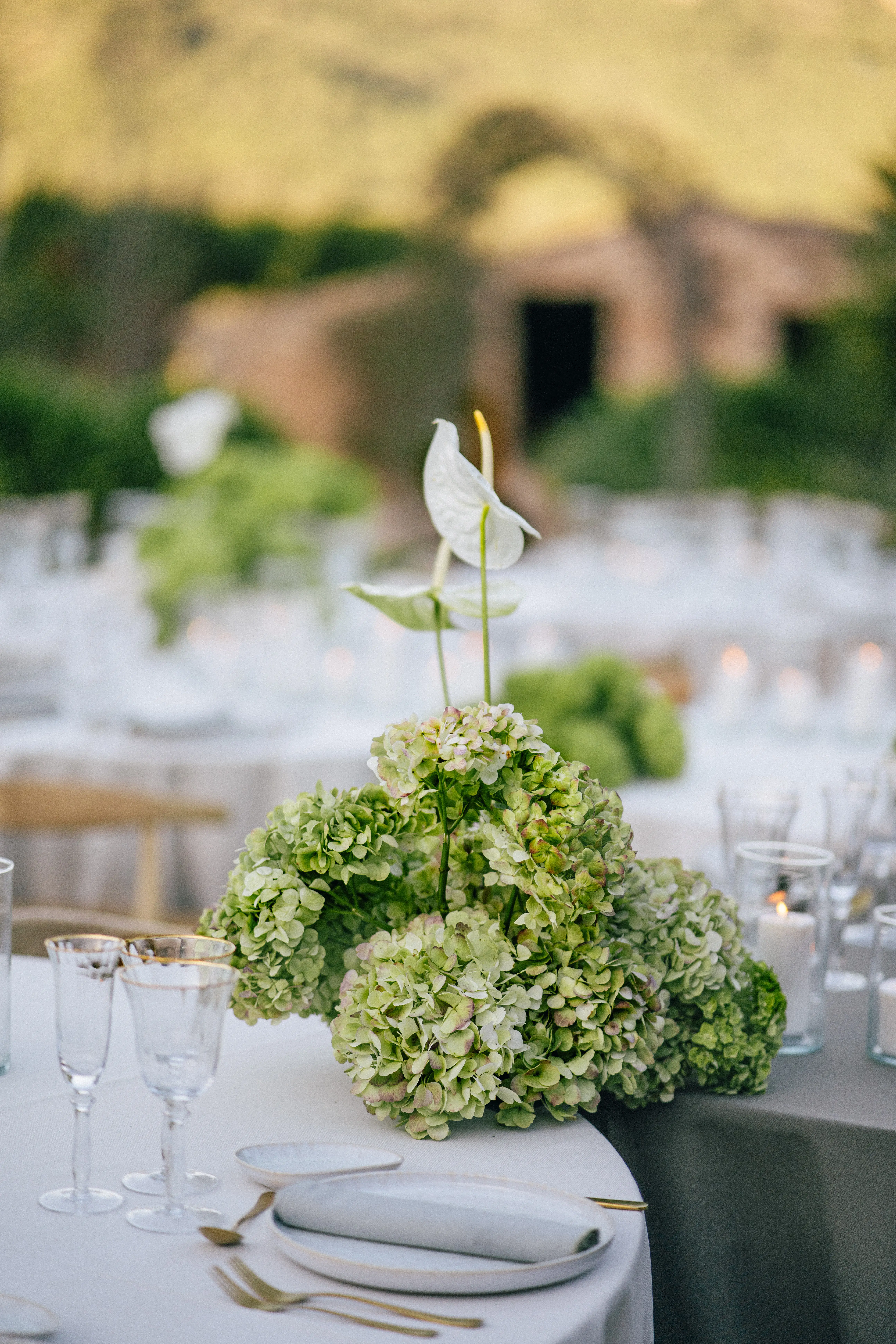 Sabinata Eventos imagen 18