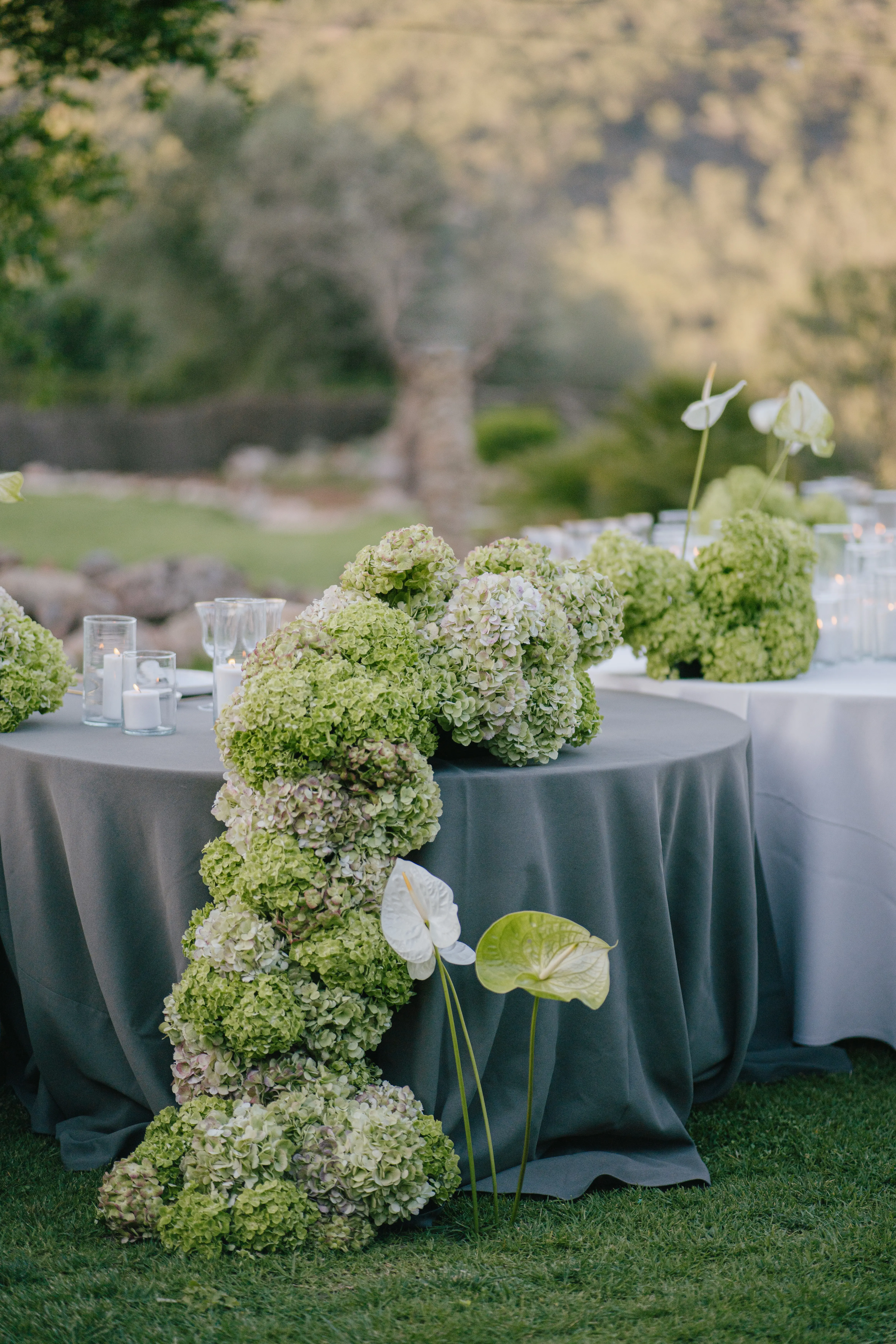 Sabinata Eventos imagen 20